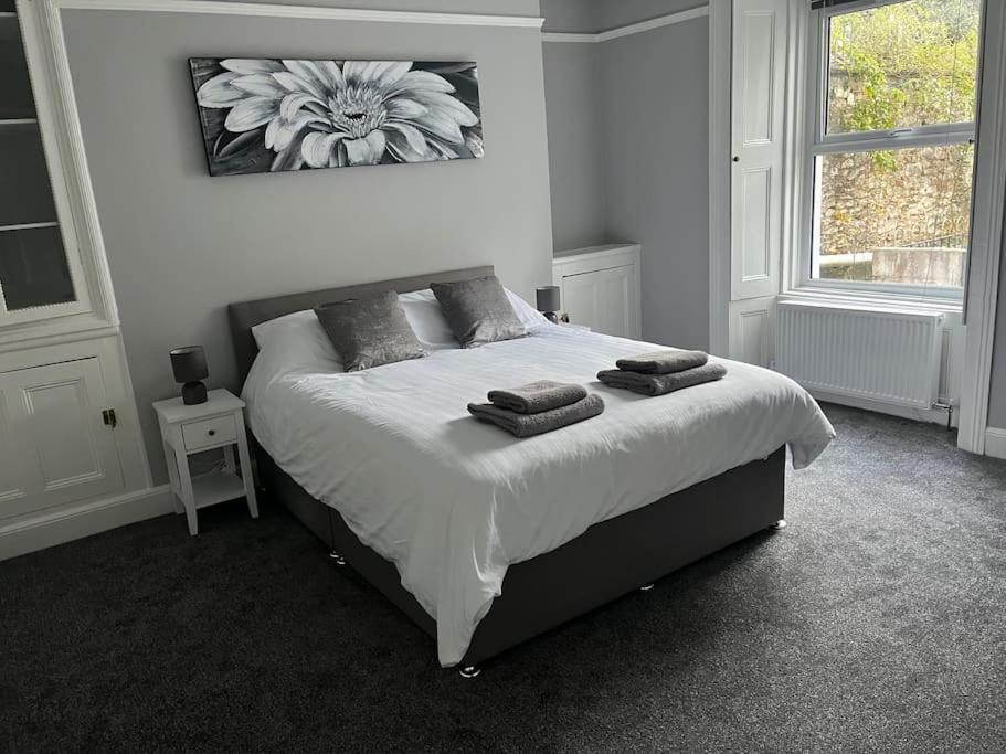 Large 1 Bedroom Flat With Private Parking Plymouth Exterior foto